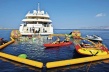 Flybridge MITSUBISHI OMEGA - Boat picture